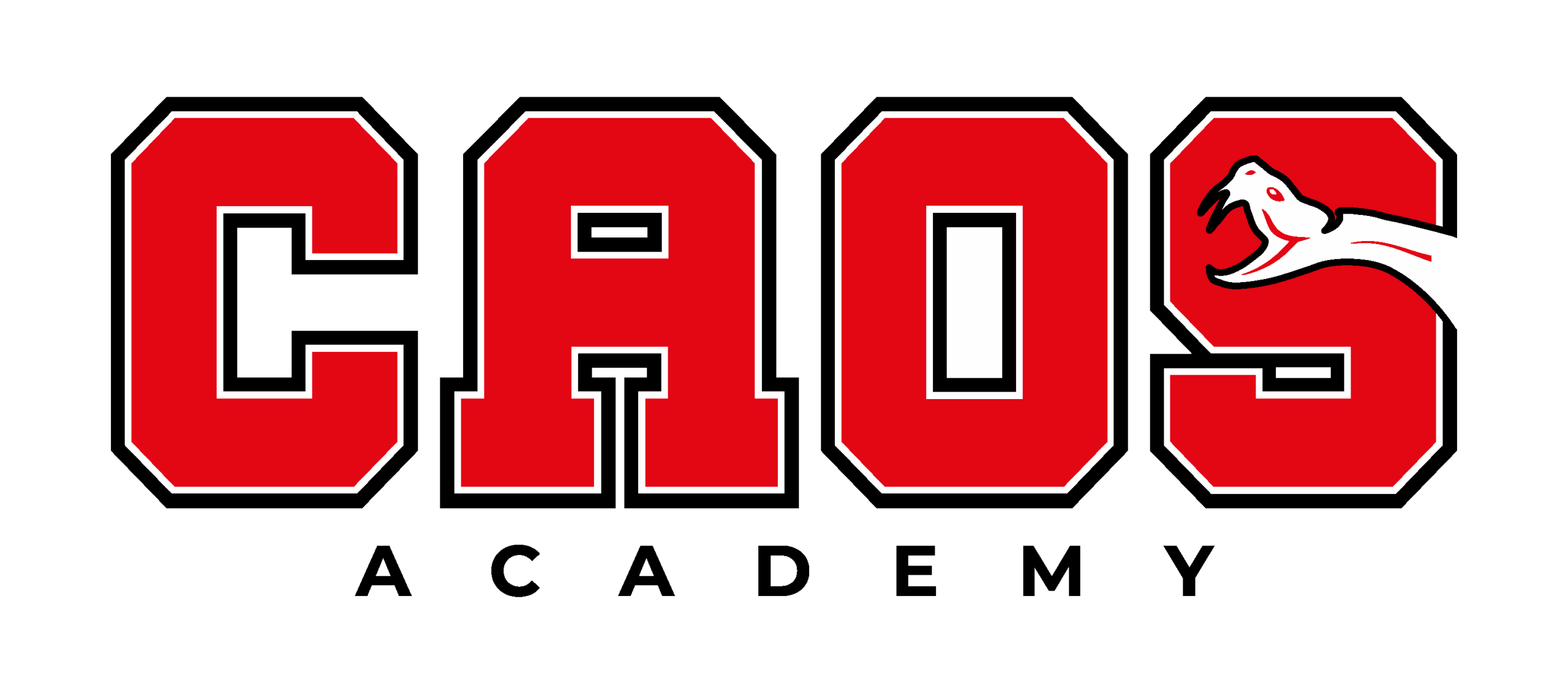 Caos Academy - Calisthenics Napoli